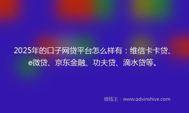 2025年的口子网贷平台怎么样有：维信卡卡贷、e微贷、京东金融、功夫贷、滴水贷等。