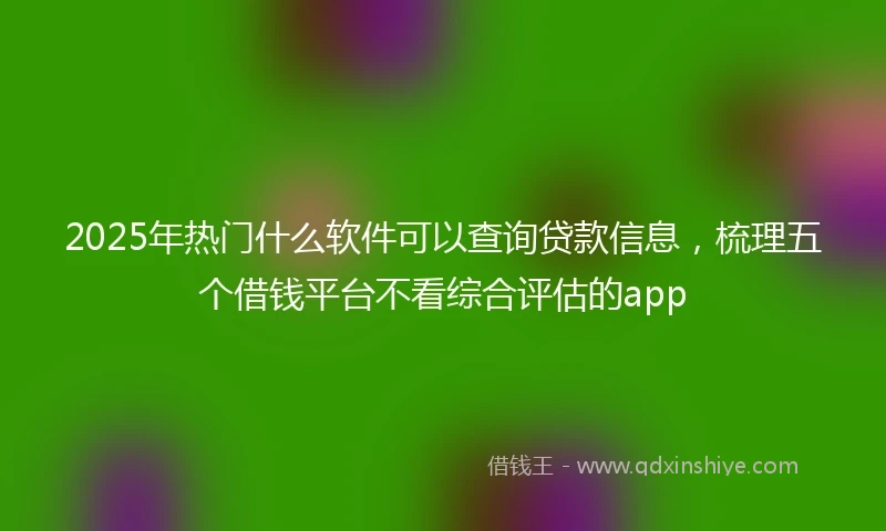 2025年热门什么软件可以查询贷款信息,梳理五个借钱平台不看综合评估的app