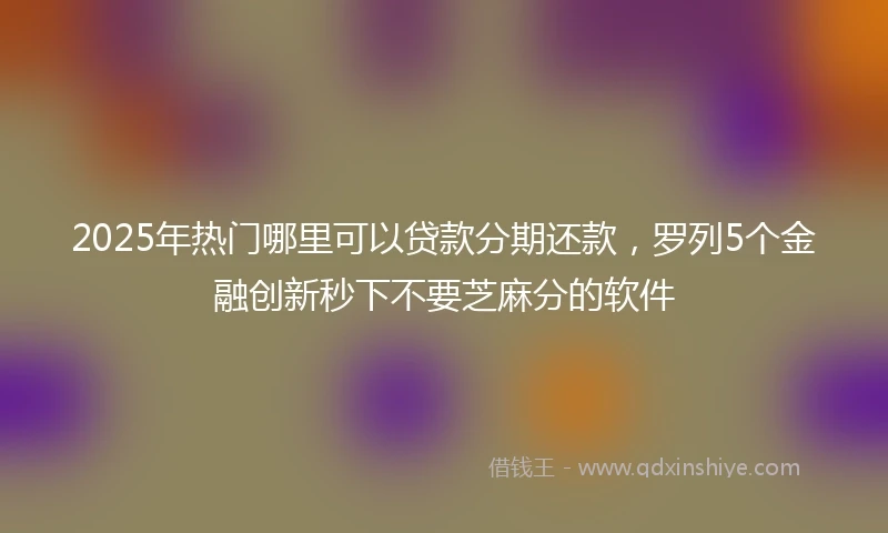 2025年热门哪里可以贷款分期还款,罗列5个金融创新秒下不要芝麻分的软件
