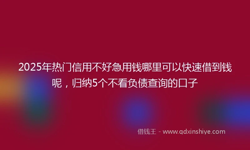 2025年热门信用不好急用钱哪里可以快速借到钱呢，归纳5个不看负债查询的口子