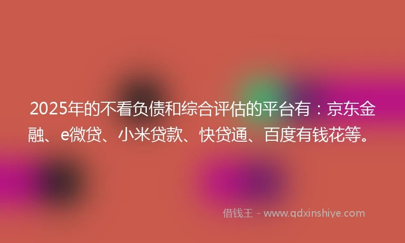 2025年的不看负债和综合评估的平台有：京东金融、e微贷、小米贷款、快贷通、百度有钱花等。