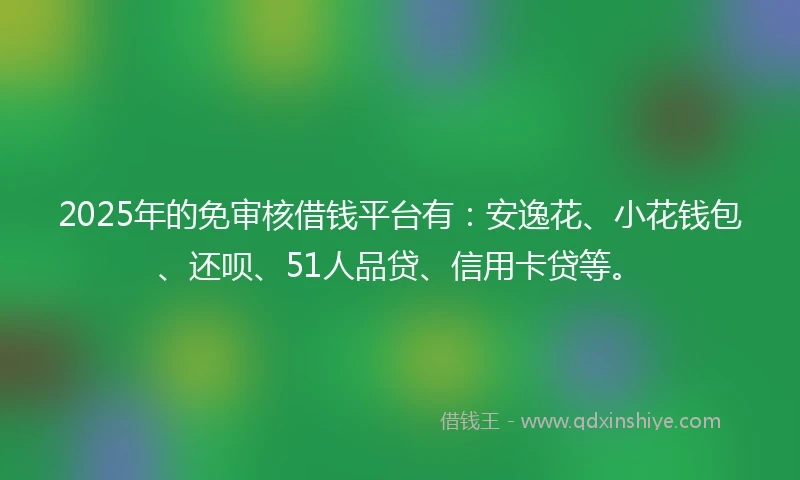 2025年的免审核借钱平台有：安逸花、小花钱包、还呗、51人品贷、信用卡贷等。