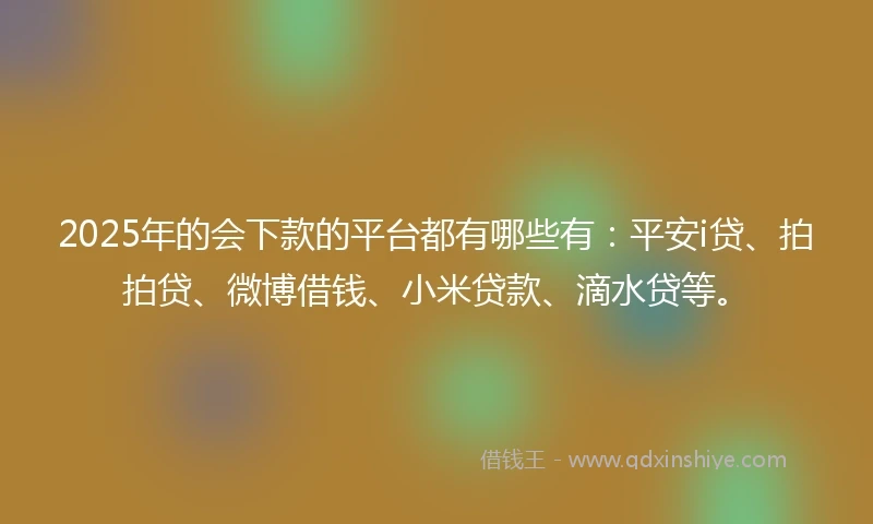 2025年的会下款的平台都有哪些有：平安i贷、拍拍贷、微博借钱、小米贷款、滴水贷等。