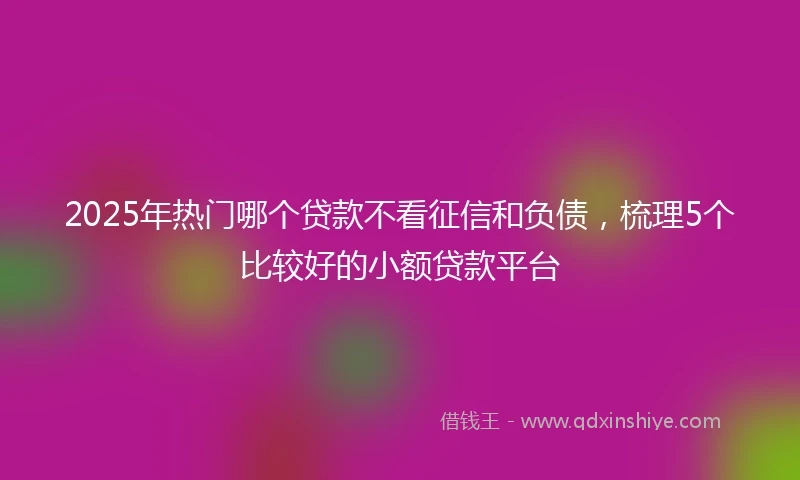2025年热门哪个贷款不看征信和负债，梳理5个比较好的小额贷款平台