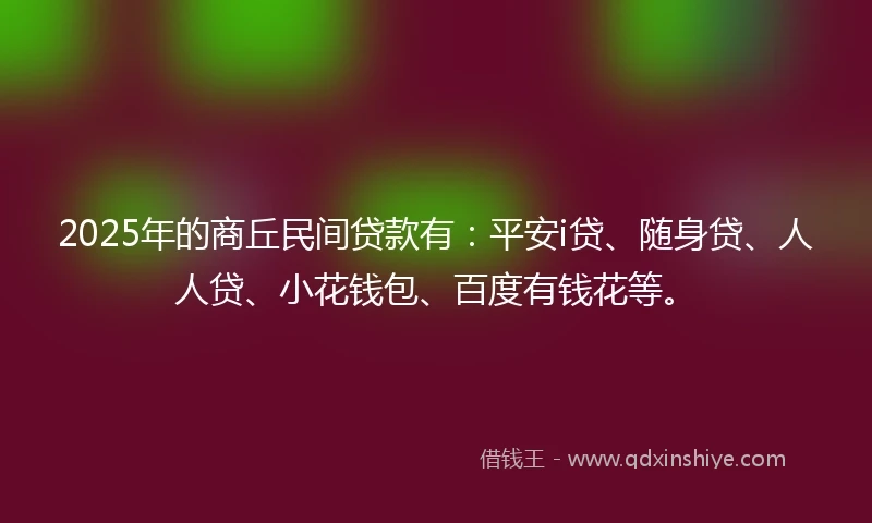 2025年的商丘民间贷款有：平安i贷、随身贷、人人贷、小花钱包、百度有钱花等。