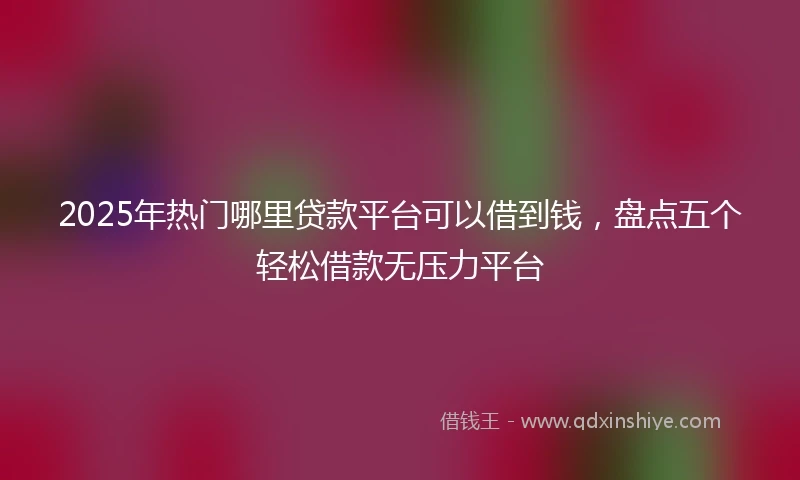 2025年热门哪里贷款平台可以借到钱，盘点五个轻松借款无压力平台