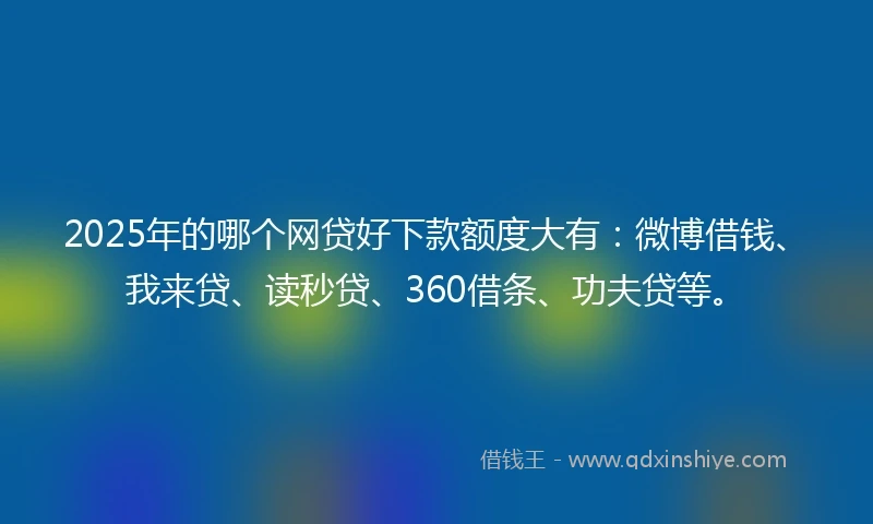 2025年的哪个网贷好下款额度大有：微博借钱、我来贷、读秒贷、360借条、功夫贷等。
