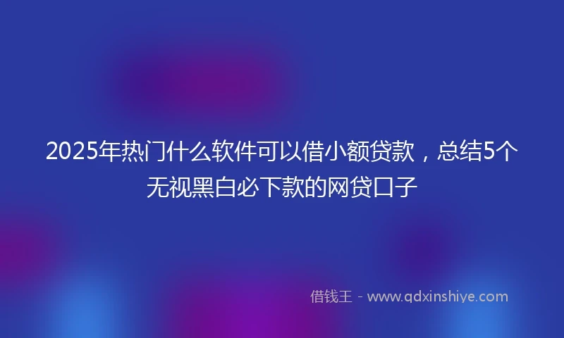 2025年热门什么软件可以借小额贷款，总结5个无视黑白必下款的网贷口子