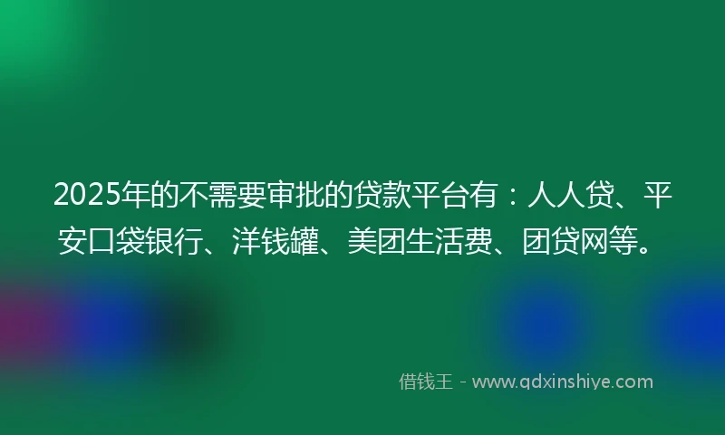 2025年的不需要审批的贷款平台有：人人贷、平安口袋银行、洋钱罐、美团生活费、团贷网等。