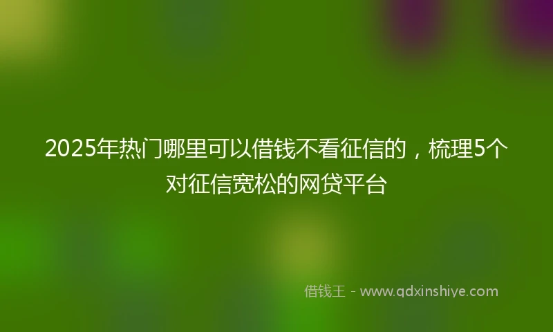 2025年热门哪里可以借钱不看征信的，梳理5个对征信宽松的网贷平台