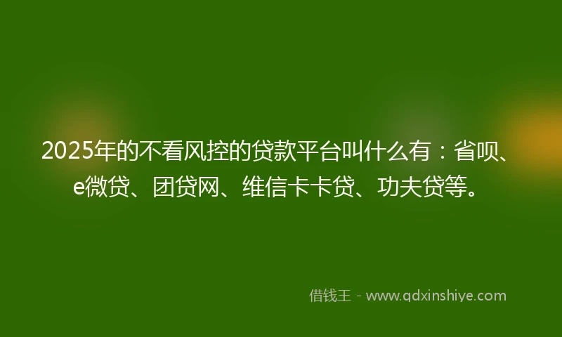 2025年的不看风控的贷款平台叫什么有：省呗、e微贷、团贷网、维信卡卡贷、功夫贷等。