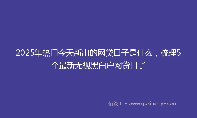 2025年热门今天新出的网贷口子是什么，梳理5个最新无视黑白户网贷口子