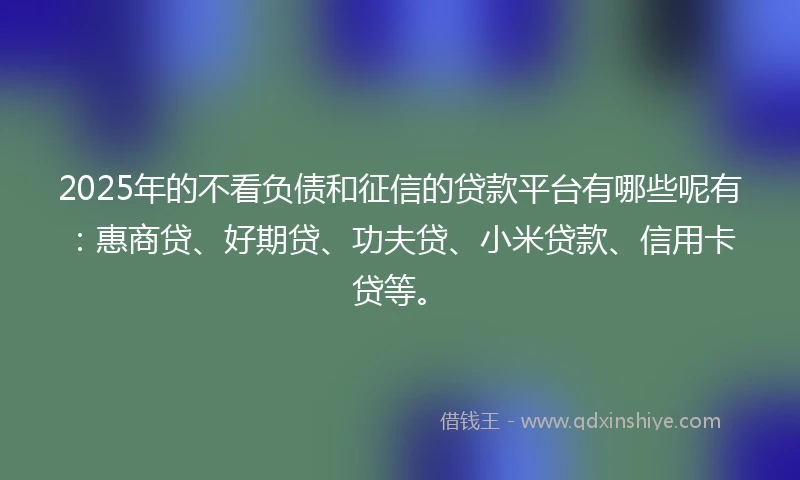 2025年的不看负债和征信的贷款平台有哪些呢有：惠商贷、好期贷、功夫贷、小米贷款、信用卡贷等。