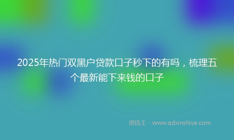 2025年热门双黑户贷款口子秒下的有吗，梳理五个最新能下来钱的口子