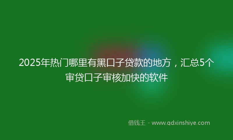 2025年热门哪里有黑口子贷款的地方，汇总5个审贷口子审核加快的软件