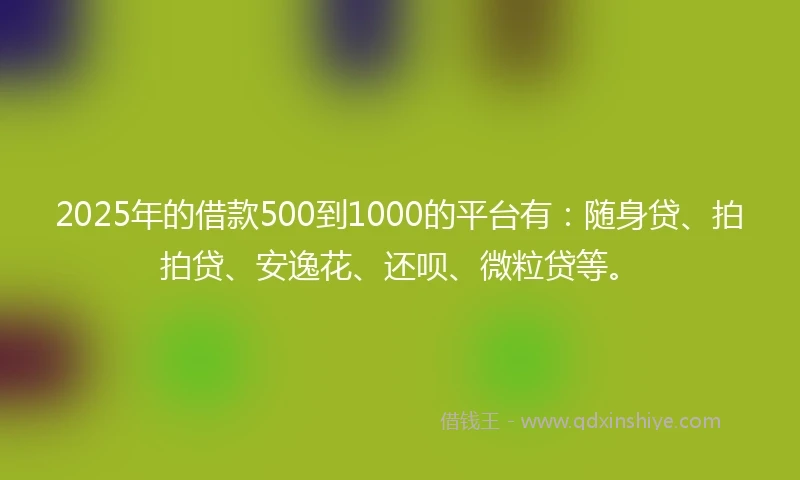 2025年的借款500到1000的平台有：随身贷、拍拍贷、安逸花、还呗、微粒贷等。