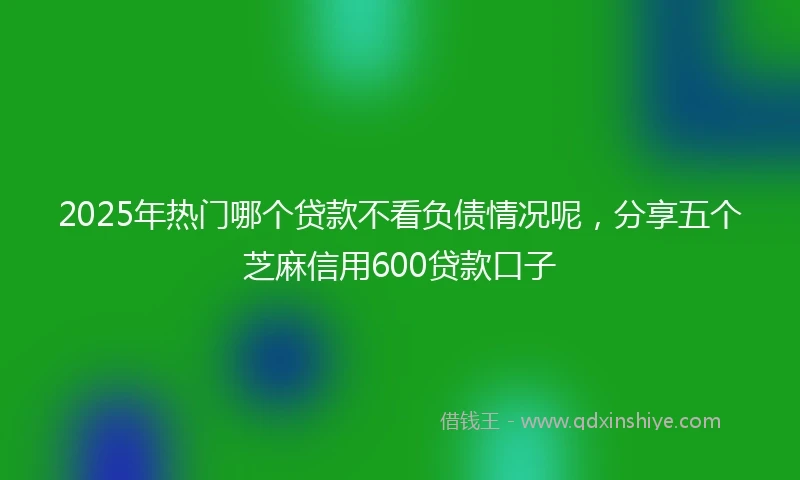 2025年热门哪个贷款不看负债情况呢,分享五个芝麻信用600贷款口子