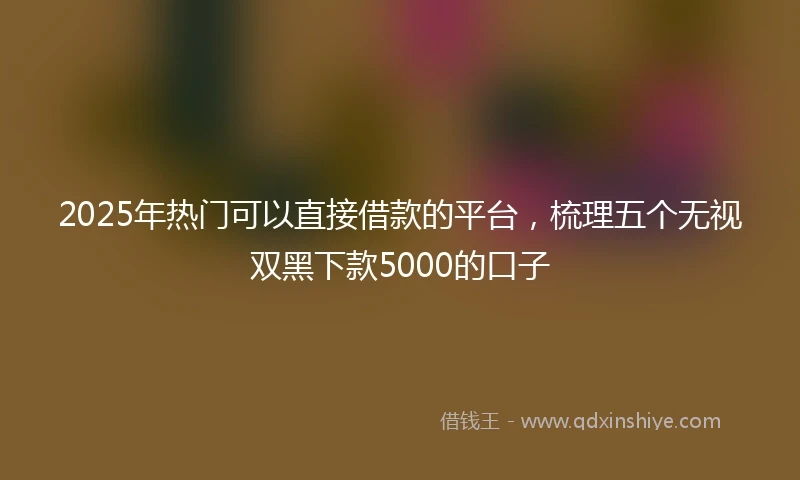 2025年热门可以直接借款的平台,梳理五个无视双黑下款5000的口子