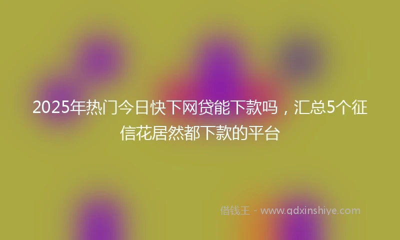 2025年热门今日快下网贷能下款吗，汇总5个征信花居然都下款的平台