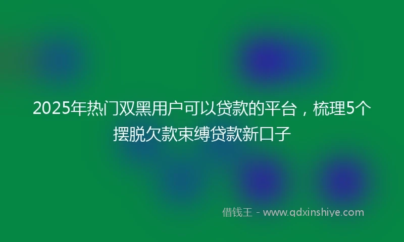 2025年热门双黑用户可以贷款的平台，梳理5个摆脱欠款束缚贷款新口子