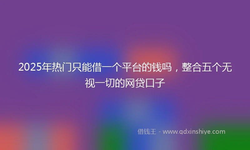 2025年热门只能借一个平台的钱吗，整合五个无视一切的网贷口子