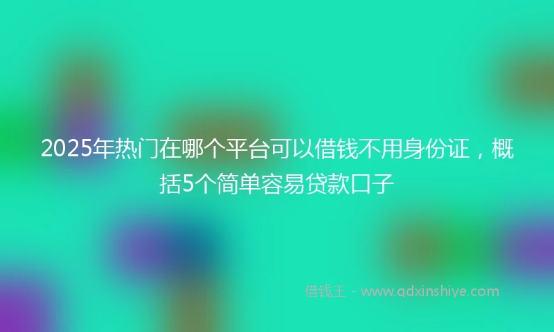 2025年热门在哪个平台可以借钱不用身份证，概括5个简单容易贷款口子