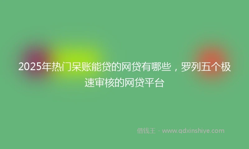 2025年热门呆账能贷的网贷有哪些，罗列五个极速审核的网贷平台