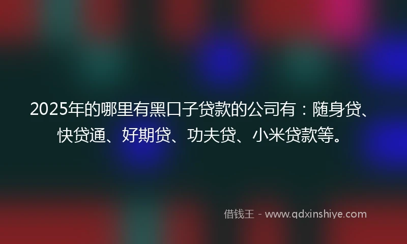 2025年的哪里有黑口子贷款的公司有：随身贷、快贷通、好期贷、功夫贷、小米贷款等。