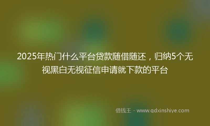 2025年热门什么平台贷款随借随还，归纳5个无视黑白无视征信申请就下款的平台