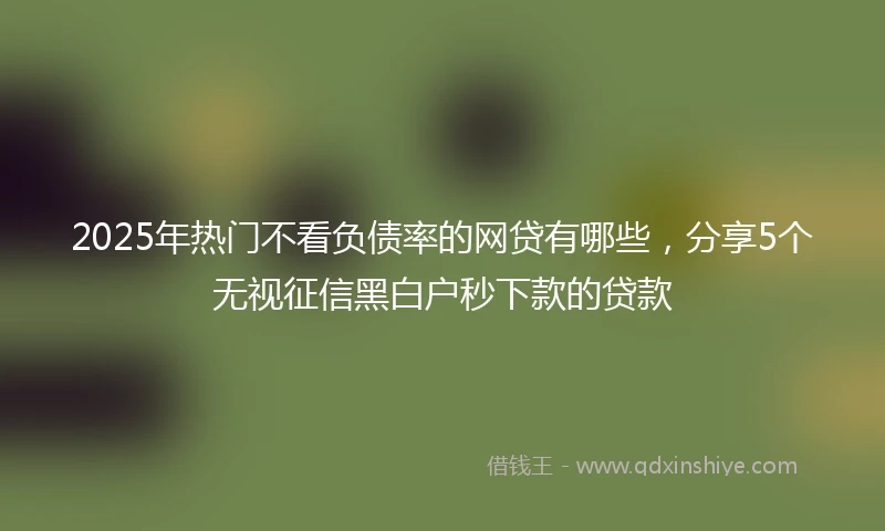 2025年热门不看负债率的网贷有哪些，分享5个无视征信黑白户秒下款的贷款