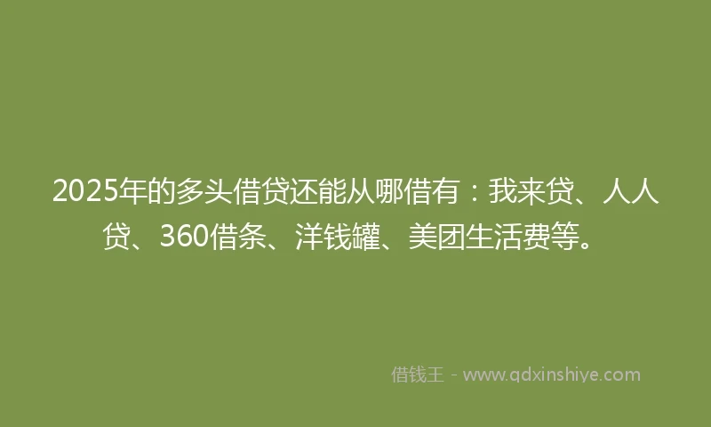 2025年的多头借贷还能从哪借有：我来贷、人人贷、360借条、洋钱罐、美团生活费等。