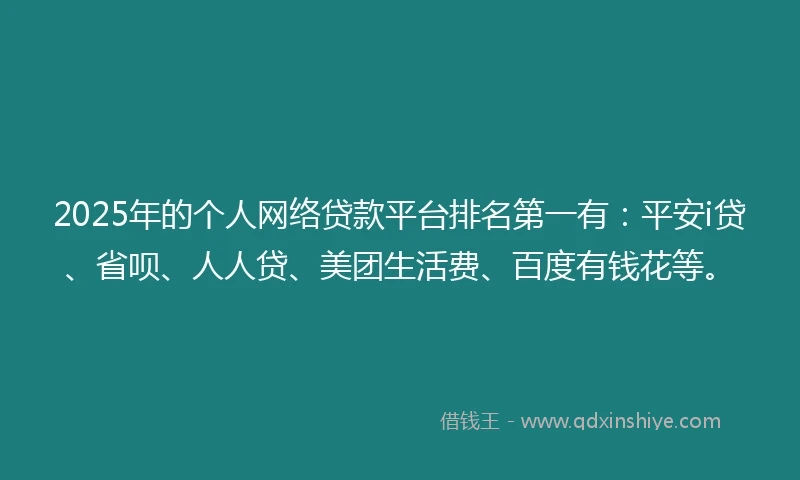 2025年的个人网络贷款平台排名第一有：平安i贷、省呗、人人贷、美团生活费、百度有钱花等。