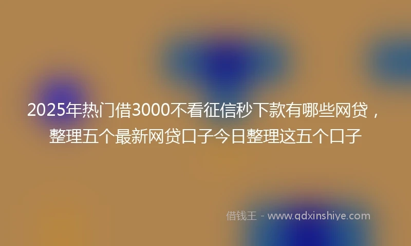 2025年热门借3000不看征信秒下款有哪些网贷，整理五个最新网贷口子今日整理这五个口子