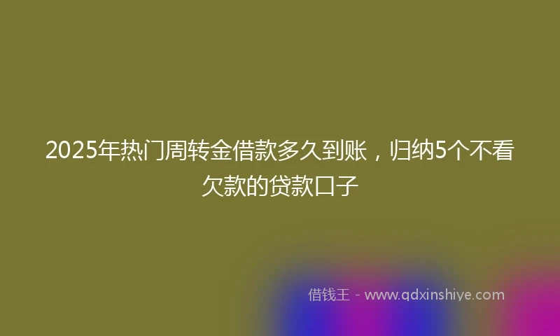 2025年热门周转金借款多久到账，归纳5个不看欠款的贷款口子
