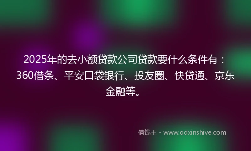 2025年的去小额贷款公司贷款要什么条件有：360借条、平安口袋银行、投友圈、快贷通、京东金融等。
