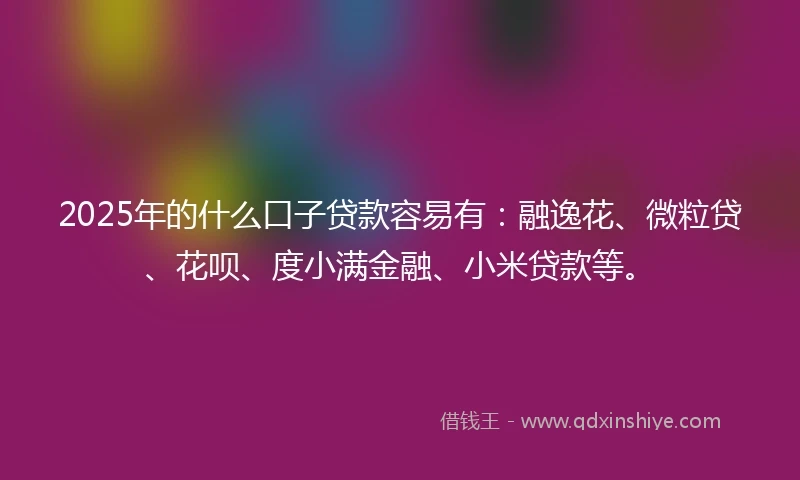 2025年的什么口子贷款容易有：融逸花、微粒贷、花呗、度小满金融、小米贷款等。