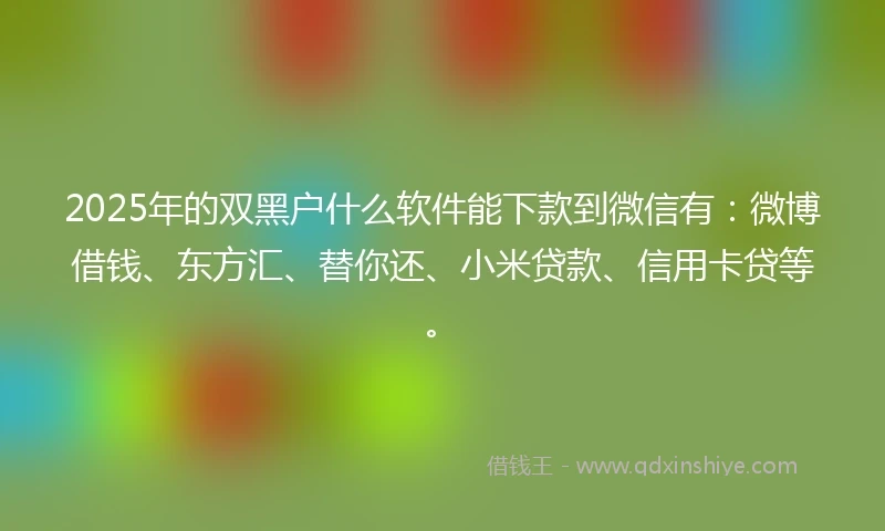2025年的双黑户什么软件能下款到微信有：微博借钱、东方汇、替你还、小米贷款、信用卡贷等。