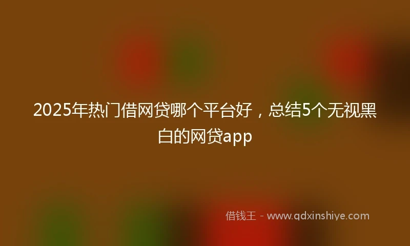 2025年热门借网贷哪个平台好，总结5个无视黑白的网贷app