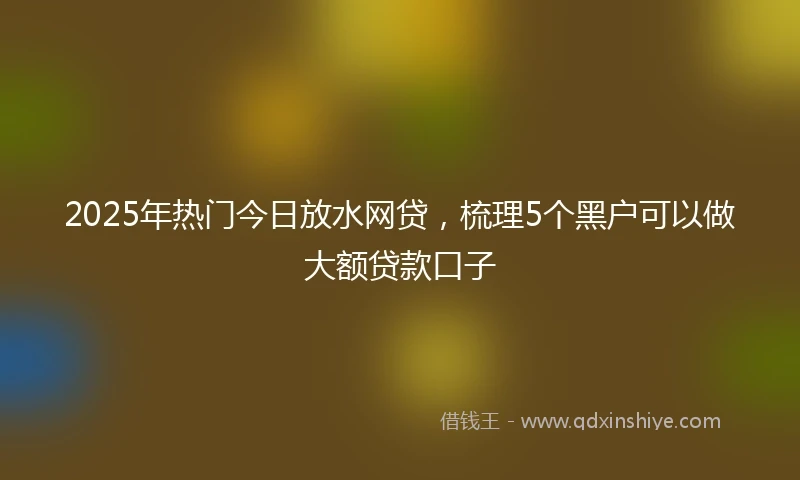 2025年热门今日放水网贷，梳理5个黑户可以做大额贷款口子