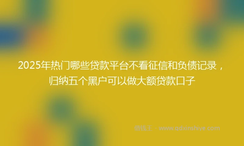 2025年热门哪些贷款平台不看征信和负债记录，归纳五个黑户可以做大额贷款口子