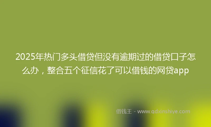 2025年热门多头借贷但没有逾期过的借贷口子怎么办，整合五个征信花了可以借钱的网贷app