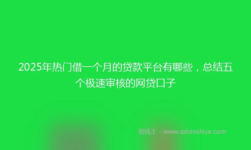 2025年热门借一个月的贷款平台有哪些,总结五个极速审核的网贷口子