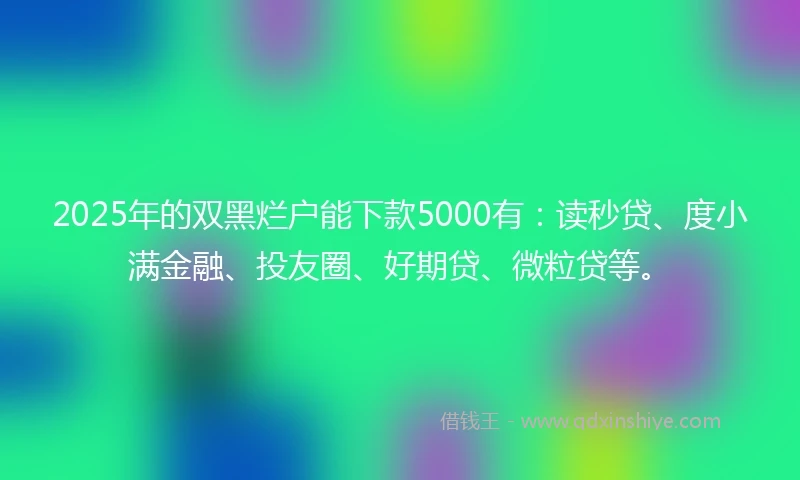 2025年的双黑烂户能下款5000有：读秒贷、度小满金融、投友圈、好期贷、微粒贷等。