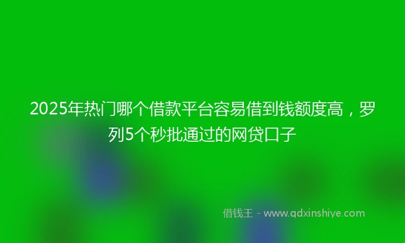 2025年热门哪个借款平台容易借到钱额度高，罗列5个秒批通过的网贷口子