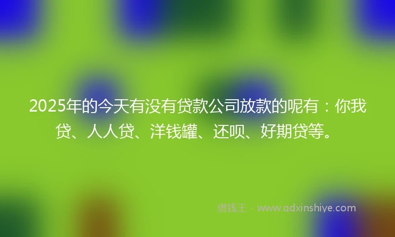 2025年的今天有没有贷款公司放款的呢有：你我贷、人人贷、洋钱罐、还呗、好期贷等。