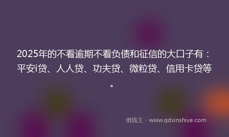 2025年的不看逾期不看负债和征信的大口子有：平安i贷、人人贷、功夫贷、微粒贷、信用卡贷等。