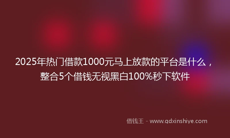 2025年热门借款1000元马上放款的平台是什么,整合5个借钱无视黑白100%秒下软件