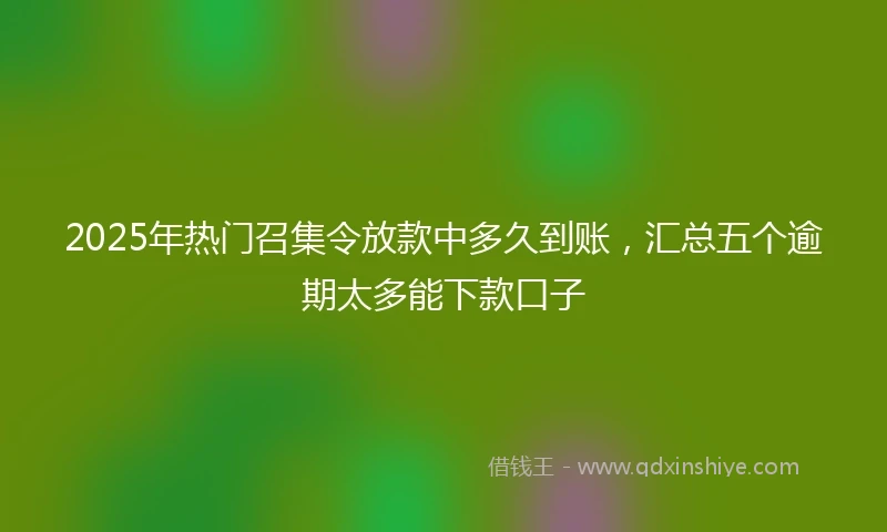 2025年热门召集令放款中多久到账，汇总五个逾期太多能下款口子