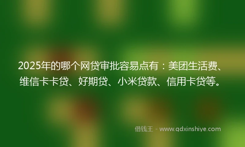 2025年的哪个网贷审批容易点有:美团生活费、维信卡卡贷、好期贷、小米贷款、信用卡贷等。