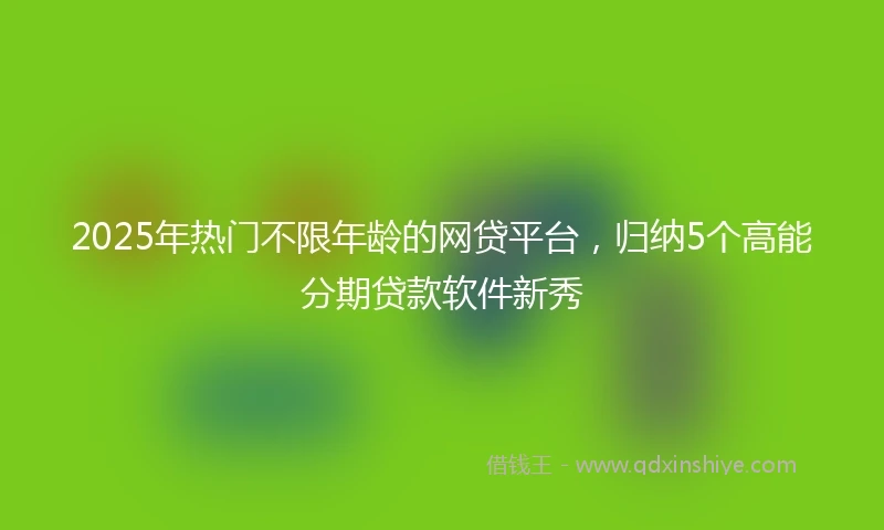 2025年热门不限年龄的网贷平台，归纳5个高能分期贷款软件新秀